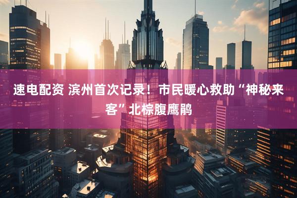 速电配资 滨州首次记录！市民暖心救助“神秘来客”北棕腹鹰鹃