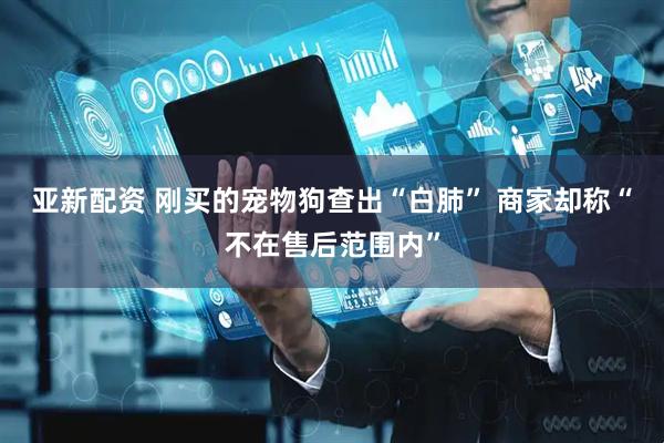 亚新配资 刚买的宠物狗查出“白肺” 商家却称“不在售后范围内”