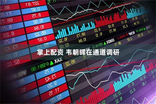 掌上配资 韦朝晖在通道调研